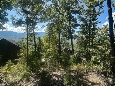 Lot 78 Vixen Run is an excellent residential lot located in the on Bent Creek Golf Course in Tennessee - for sale on GolfHomes.com, golf home, golf lot