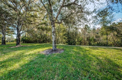 CLEARED & READY TO BUILD 1.25 ACRES ALL BUILDABLE IN LANSBROOK!
 on Lansbrook Golf Club in Florida - for sale on GolfHomes.com, golf home, golf lot