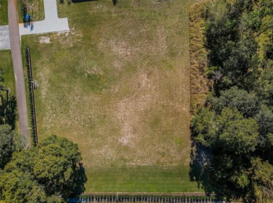 CLEARED & READY TO BUILD 1.25 ACRES ALL BUILDABLE IN LANSBROOK!
 on Lansbrook Golf Club in Florida - for sale on GolfHomes.com, golf home, golf lot