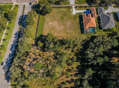 CLEARED & READY TO BUILD 1.25 ACRES ALL BUILDABLE IN LANSBROOK!
 on Lansbrook Golf Club in Florida - for sale on GolfHomes.com, golf home, golf lot