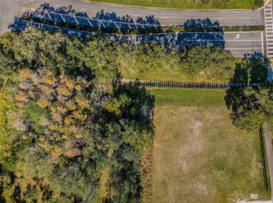 CLEARED & READY TO BUILD 1.25 ACRES ALL BUILDABLE IN LANSBROOK!
 on Lansbrook Golf Club in Florida - for sale on GolfHomes.com, golf home, golf lot