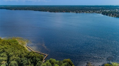 CLEARED & READY TO BUILD 1.25 ACRES ALL BUILDABLE IN LANSBROOK!
 on Lansbrook Golf Club in Florida - for sale on GolfHomes.com, golf home, golf lot