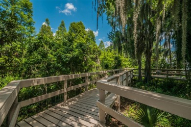 CLEARED & READY TO BUILD 1.25 ACRES ALL BUILDABLE IN LANSBROOK!
 on Lansbrook Golf Club in Florida - for sale on GolfHomes.com, golf home, golf lot