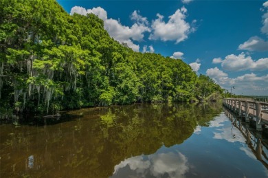 CLEARED & READY TO BUILD 1.25 ACRES ALL BUILDABLE IN LANSBROOK!
 on Lansbrook Golf Club in Florida - for sale on GolfHomes.com, golf home, golf lot