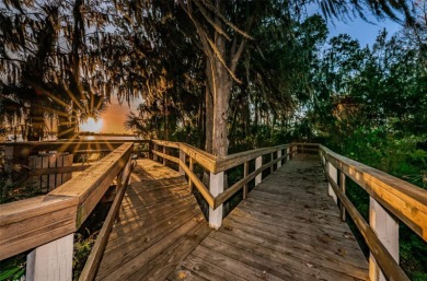 CLEARED & READY TO BUILD 1.25 ACRES ALL BUILDABLE IN LANSBROOK!
 on Lansbrook Golf Club in Florida - for sale on GolfHomes.com, golf home, golf lot