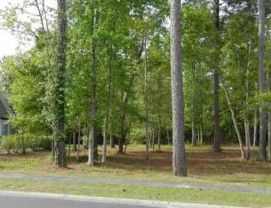 Build your custom dream home in this highly desirable community on Heron Point Golf Club in South Carolina - for sale on GolfHomes.com, golf home, golf lot