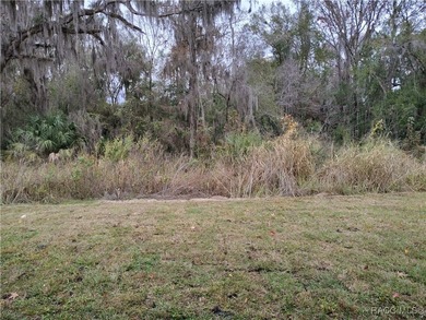 THE WILLOW - Located in the * Premier Gated Lakeside Community on Inverness Golf and Country Club in Florida - for sale on GolfHomes.com, golf home, golf lot