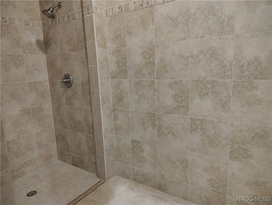 THE WILLOW - Located in the * Premier Gated Lakeside Community on Inverness Golf and Country Club in Florida - for sale on GolfHomes.com, golf home, golf lot