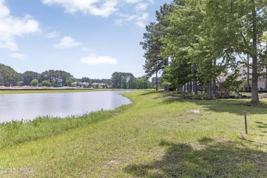 Calling all future Joanna Gaines! Here's your chance to own on on Hampton Pointe Golf Course in South Carolina - for sale on GolfHomes.com, golf home, golf lot