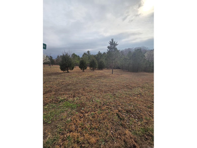 If you are looking for a place to build your new home, look no on Pine Hills Golf Course in Arkansas - for sale on GolfHomes.com, golf home, golf lot