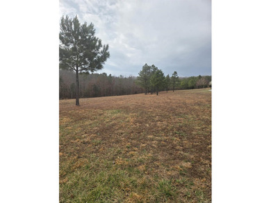 If you are looking for a place to build your new home, look no on Pine Hills Golf Course in Arkansas - for sale on GolfHomes.com, golf home, golf lot