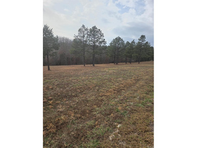 If you are looking for a place to build your new home, look no on Pine Hills Golf Course in Arkansas - for sale on GolfHomes.com, golf home, golf lot