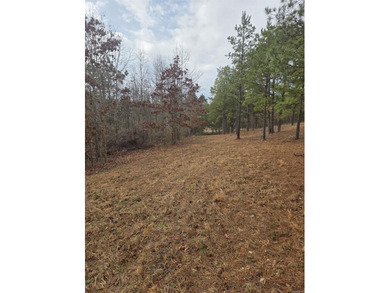 If you are looking for a place to build your new home, look no on Pine Hills Golf Course in Arkansas - for sale on GolfHomes.com, golf home, golf lot