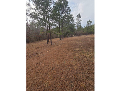 If you are looking for a place to build your new home, look no on Pine Hills Golf Course in Arkansas - for sale on GolfHomes.com, golf home, golf lot