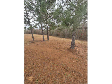 If you are looking for a place to build your new home, look no on Pine Hills Golf Course in Arkansas - for sale on GolfHomes.com, golf home, golf lot