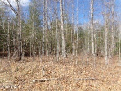 Great level lot in Lake Tansi! Lot is close 

to Lake Tansi on Lake Tansi Village Country Club in Tennessee - for sale on GolfHomes.com, golf home, golf lot