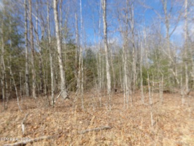 Great level lot in Lake Tansi! Lot is close 

to Lake Tansi on Lake Tansi Village Country Club in Tennessee - for sale on GolfHomes.com, golf home, golf lot