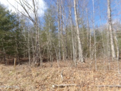 Great level lot in Lake Tansi! Lot is close 

to Lake Tansi on Lake Tansi Village Country Club in Tennessee - for sale on GolfHomes.com, golf home, golf lot