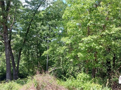 This beautiful lot in Bella Vista, AR offers the perfect on Bella Vista Country Club and Golf Course in Arkansas - for sale on GolfHomes.com, golf home, golf lot