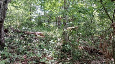 This beautiful lot in Bella Vista, AR offers the perfect on Bella Vista Country Club and Golf Course in Arkansas - for sale on GolfHomes.com, golf home, golf lot
