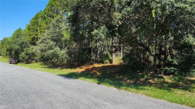 Beautiful homesite on smooth paved road in the growing on Citrus Springs Country Club in Florida - for sale on GolfHomes.com, golf home, golf lot