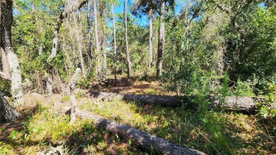 Beautiful homesite on smooth paved road in the growing on Citrus Springs Country Club in Florida - for sale on GolfHomes.com, golf home, golf lot