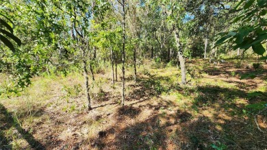 Beautiful homesite on smooth paved road in the growing on Citrus Springs Country Club in Florida - for sale on GolfHomes.com, golf home, golf lot