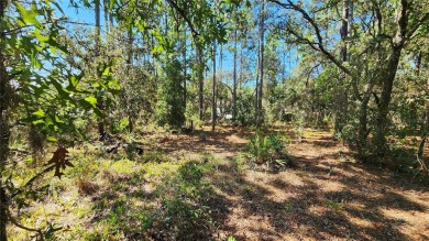 Beautiful homesite on smooth paved road in the growing on Citrus Springs Country Club in Florida - for sale on GolfHomes.com, golf home, golf lot