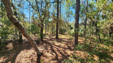 Beautiful homesite on smooth paved road in the growing on Citrus Springs Country Club in Florida - for sale on GolfHomes.com, golf home, golf lot