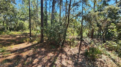 Beautiful homesite on smooth paved road in the growing on Citrus Springs Country Club in Florida - for sale on GolfHomes.com, golf home, golf lot