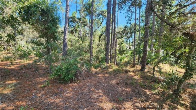 Beautiful homesite on smooth paved road in the growing on Citrus Springs Country Club in Florida - for sale on GolfHomes.com, golf home, golf lot