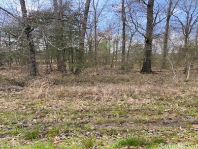 Beautiful Lot on Isabella Golf Course to build your Dream Home on Isabella Golf Course  in Arkansas - for sale on GolfHomes.com, golf home, golf lot