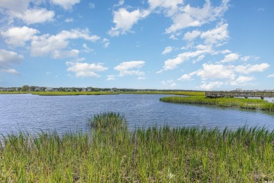 Welcome to your dream coastal escape in Cherry Grove, where on Tidewater Golf Club and Plantation in South Carolina - for sale on GolfHomes.com, golf home, golf lot