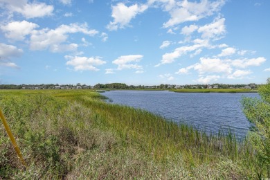 Welcome to your dream coastal escape in Cherry Grove, where on Tidewater Golf Club and Plantation in South Carolina - for sale on GolfHomes.com, golf home, golf lot