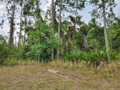 Prime oversized CORNER building site in the heart of Sarasota on Bobcat Trail Golf Club in Florida - for sale on GolfHomes.com, golf home, golf lot