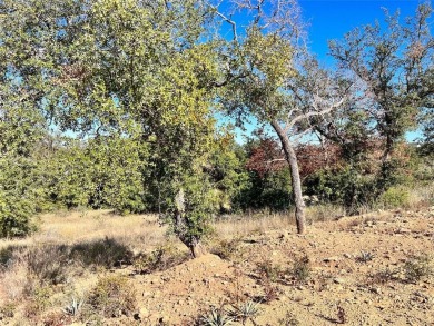 Very very nice lot in a spectacular location in the beautiful on Hideout Golf Club and Resort  in Texas - for sale on GolfHomes.com, golf home, golf lot