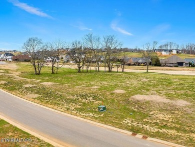 Welcome to Lot 4617 Old Club Dr a pristine, build-ready, flat & on Tennessee National Golf Club in Tennessee - for sale on GolfHomes.com, golf home, golf lot