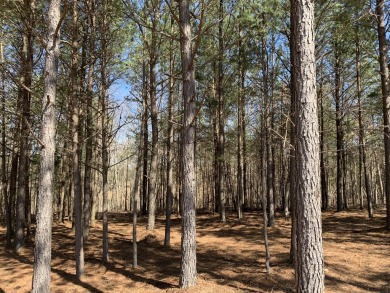 Privacy, Security, and Stunning views await.

Welcome to on Sequatchie Valley Golf and Country Club in Tennessee - for sale on GolfHomes.com, golf home, golf lot