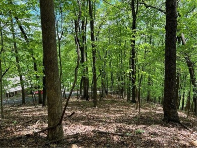 Buildable Lot in Beautiful Big Canoe  Priced to Sell!Heres your on Big Canoe Golf Club - Cherokee in Georgia - for sale on GolfHomes.com, golf home, golf lot