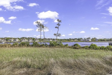 Beautiful.. Turn Key...2 Bedroom 2 Bath... Fully Furnished on The Valley At Eastport in South Carolina - for sale on GolfHomes.com, golf home, golf lot