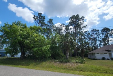 PRICE IMPROVEMENT!!! Seller just reduced to $77,900 -- bringing on The Grand Club Cypress Course in Florida - for sale on GolfHomes.com, golf home, golf lot
