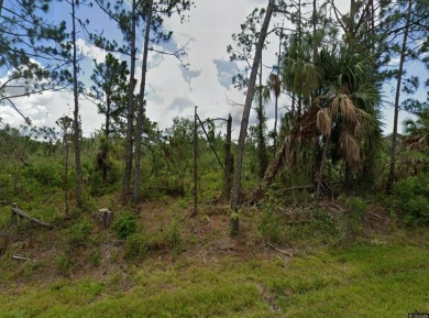 Don't miss this incredible opportunity to own a prime vacant lot on Riverwood Golf Club in Florida - for sale on GolfHomes.com, golf home, golf lot