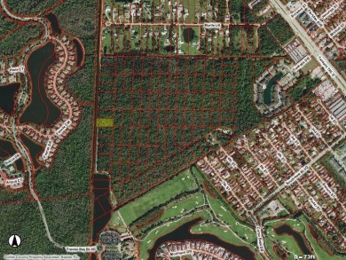 INVESTOR SPECIAL!!  IF YOU'RE LOOKING FOR LAND IN SOUTH NAPLES on TPC At Treviso Bay in Florida - for sale on GolfHomes.com, golf home, golf lot