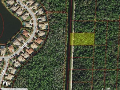 INVESTOR SPECIAL!!  IF YOU'RE LOOKING FOR LAND IN SOUTH NAPLES on TPC At Treviso Bay in Florida - for sale on GolfHomes.com, golf home, golf lot