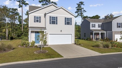 Welcome to this stunning home located in The Vistas at Sun on Palmetto Greens Golf and Country Club in South Carolina - for sale on GolfHomes.com, golf home, golf lot