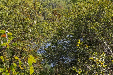 It's time to break ground on Weatherstone Drive in the heart of on Ledgestone Country Club and Golf Course in Missouri - for sale on GolfHomes.com, golf home, golf lot