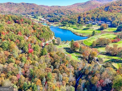 Darling Bavarian style chalet with a great view in the beautiful on Sky Valley Resort and Country Club in Georgia - for sale on GolfHomes.com, golf home, golf lot