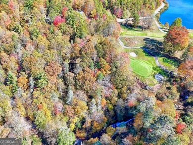 Darling Bavarian style chalet with a great view in the beautiful on Sky Valley Resort and Country Club in Georgia - for sale on GolfHomes.com, golf home, golf lot