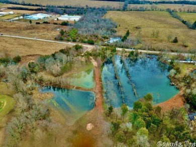 Ever wanted your own private Oasis? This is it! 13.07 level on Diamond Hills Country Club in Arkansas - for sale on GolfHomes.com, golf home, golf lot