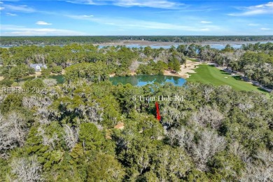 Welcome to 6 Trout Hole, nestled within the coveted May River on May River Golf Club in South Carolina - for sale on GolfHomes.com, golf home, golf lot